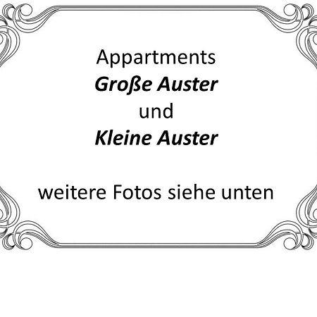 Auster-Appartements ซาร์บรึคเคน ภายนอก รูปภาพ
