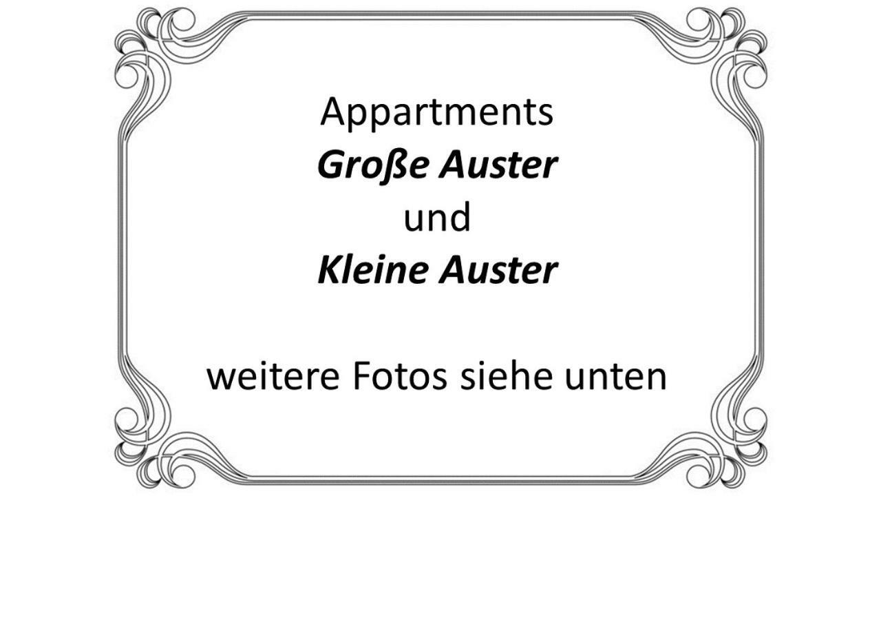 Auster-Appartements ซาร์บรึคเคน ภายนอก รูปภาพ